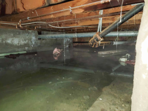 Best Ceiling water damage repair  in Newcomerstown, OH