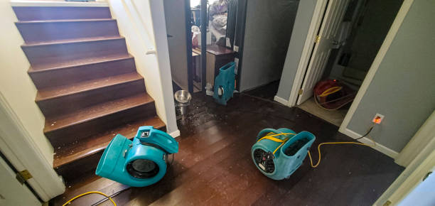 Best Water damage restoration near me  in Newcomerstown, OH