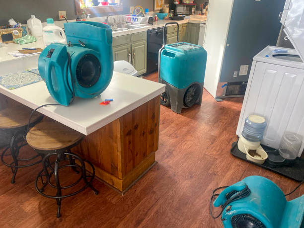Best Basement water damage restoration  in Newcomerstown, OH