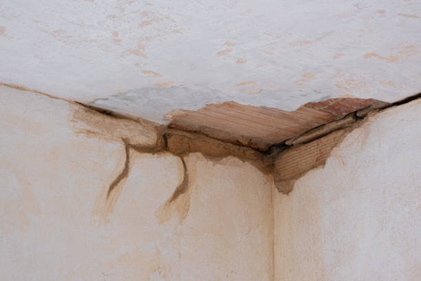 Best 24/7 water damage repair  in Newcomerstown, OH