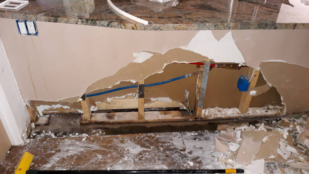 Best Mold removal after water damage  in Newcomerstown, OH