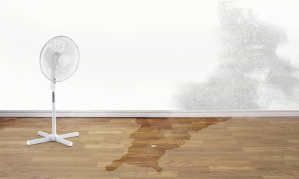Water damage restoration mold remediation in Newcomerstown, OH