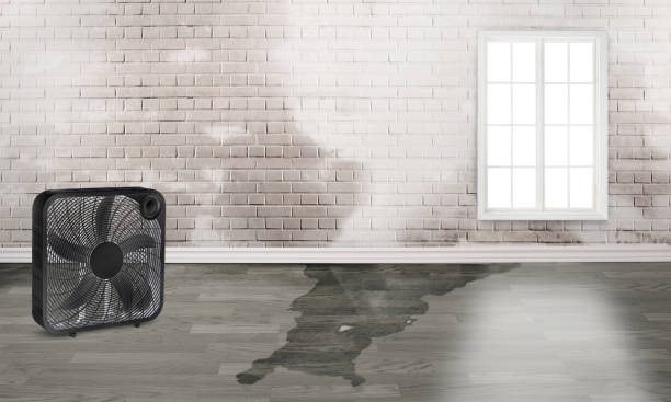  Newcomerstown, OH Water damage restoration Pros