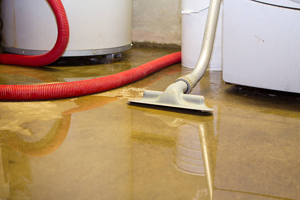 Best Water damage restoration near me  in Newcomerstown, OH