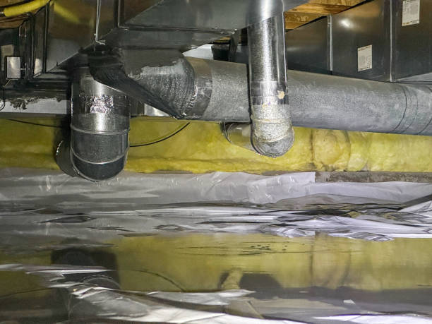 Best Water damage restoration mold remediation  in Newcomerstown, OH