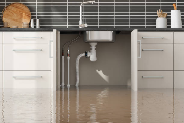 Best Sewage cleanup and water damage restoration  in Newcomerstown, OH