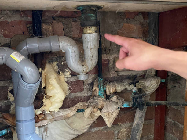 Best Water damage contractors near me  in Newcomerstown, OH