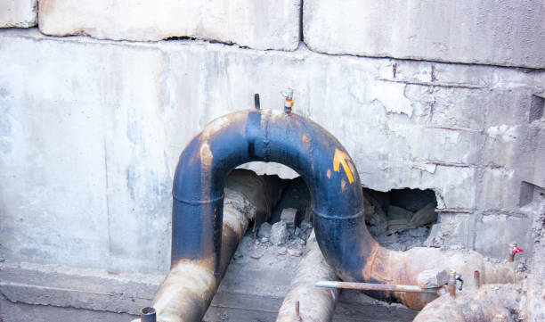 Best Professional water damage repair  in Newcomerstown, OH