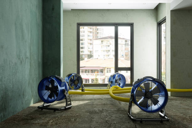 Best 24-hour water damage restoration  in Newcomerstown, OH