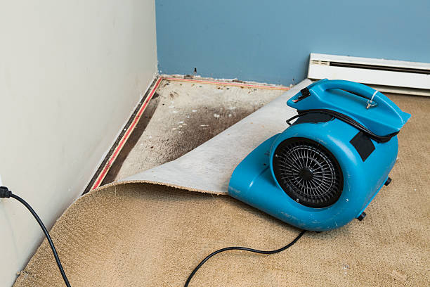 Best Water damage restoration near me  in Newcomerstown, OH